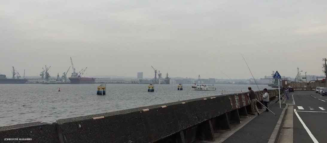 磯子海釣り公園（撮影者:JM1WUA）