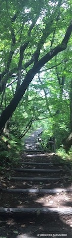 久良岐公園（撮影者:JM1WUA）